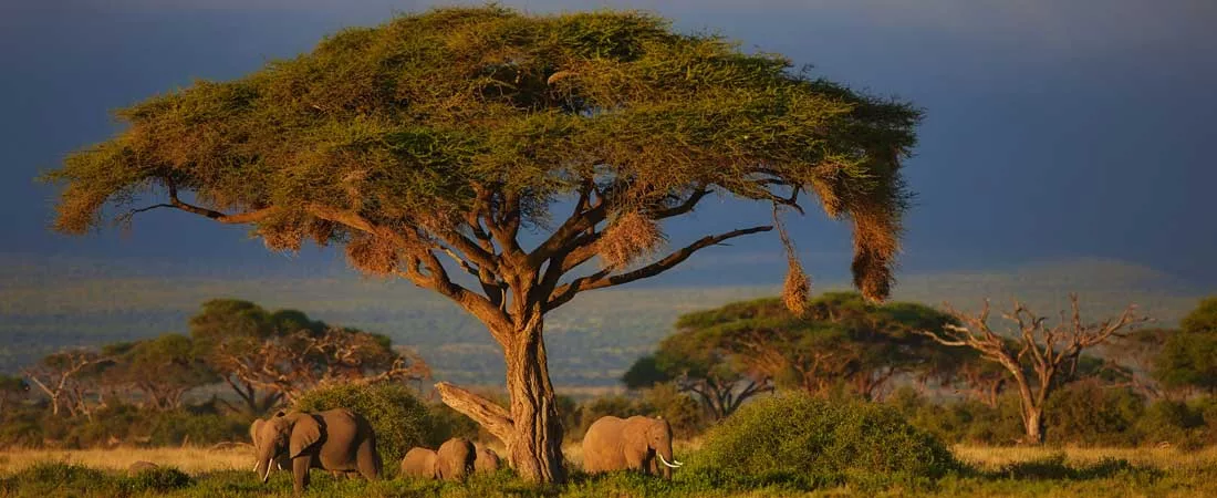 Images du Kenya - 10 jours