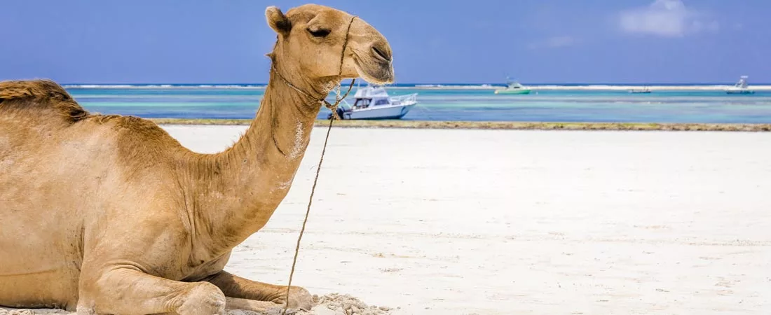 Séjour à Mombasa - 10 jours