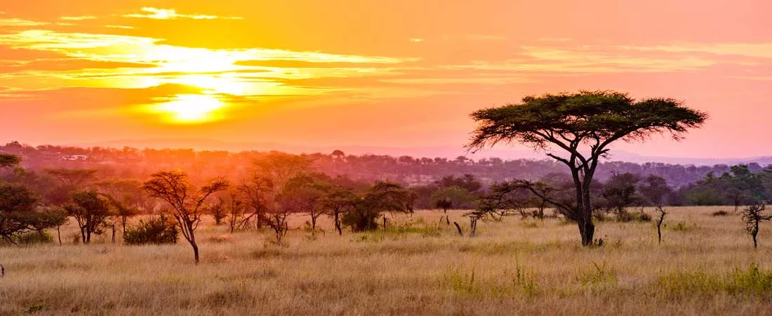 Les 4 grandes réserves de Tanzanie - 10 jours