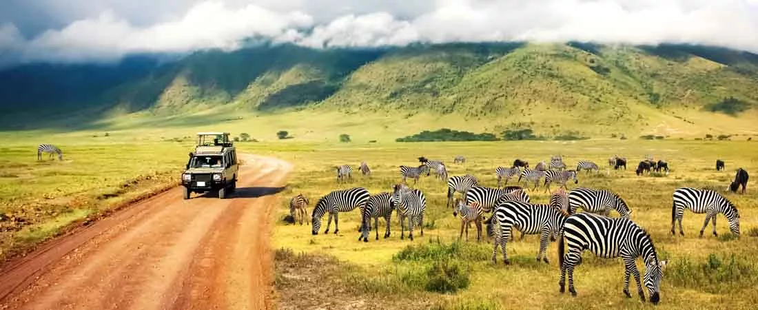 Safaris Tanzanie