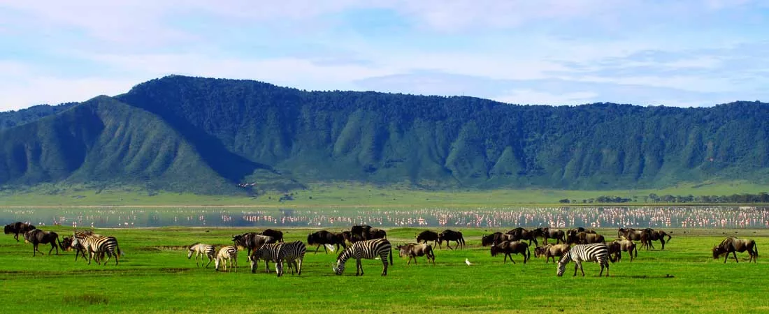 Les 4 grandes réserves de Tanzanie - 10 jours