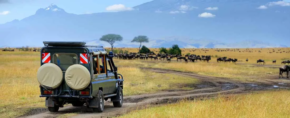 SAFARIS